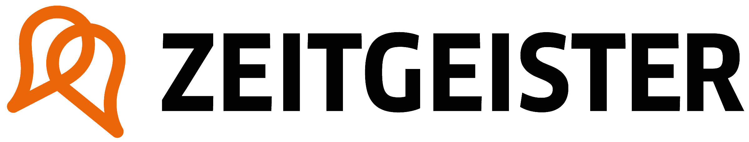 Zeitgeister logo